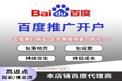 SEM推广实战：成功案例解读与策略调整